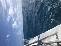Great day of scuba diving in Key Largo with Rainbow Reef on molasses reef tropical serenity 2022 02 04 r12089 1