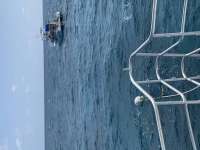 Great day of scuba diving in Key Largo with Rainbow Reef on molasses reef tropical serenity 2022 02 21 r12120 1