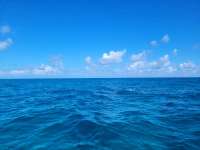 Great day of scuba diving in Key Largo with Rainbow Reef on snapper ledge tropical adventure 2022 02 27 r12155 2