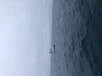 Great day of scuba diving in Key Largo with Rainbow Reef on christmastree cave tropical adventure 2022 01 23 r12069 1
