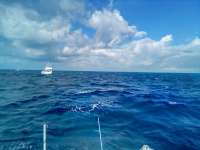 Great day of scuba diving in Key Largo with Rainbow Reef on molasses reef tropical legend 2022 01 08 r12028 1