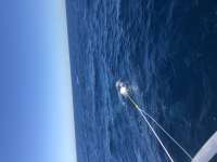 Great day of scuba diving in Key Largo with Rainbow Reef on spiegel grove tropical destiny 2022 01 31 r12087 1