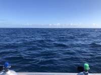 Great day of scuba diving in Key Largo with Rainbow Reef on spiegel grove tropical odyssey 2022 01 02 r12011 1