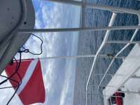 Great day of scuba diving in Key Largo with Rainbow Reef on uscgc duane tropical destiny 2022 01 13 r12042 1