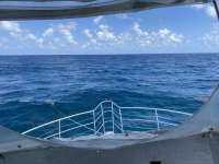 Great day of scuba diving in Key Largo with Rainbow Reef on benwood wreck tropical odyssey 2022 07 02 r12808 1