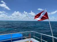 Great day of scuba diving in Key Largo with Rainbow Reef on christ statue tropical serenity 2022 07 07 r12839 1