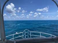 Great day of scuba diving in Key Largo with Rainbow Reef on christ statue tropical serenity 2022 07 07 r12839 3