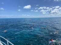 Great day of scuba diving in Key Largo with Rainbow Reef on christ statue tropical serenity 2022 07 12 r12865 1