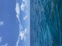 Great day of scuba diving in Key Largo with Rainbow Reef on christmastree cave tropical odyssey 2022 07 08 r12843 1