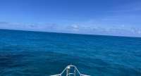 Great day of scuba diving in Key Largo with Rainbow Reef on double north tropical serenity 2022 07 03 r12816 1