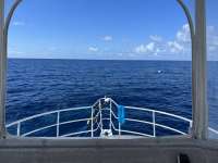 Great day of scuba diving in Key Largo with Rainbow Reef on eagle ray alley tropical legend 2022 07 11 r12859 1
