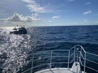 Great day of scuba diving in Key Largo with Rainbow Reef on hole in the wall tropical serenity 2022 07 07 r12835 1