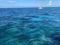 Great day of scuba diving in Key Largo with Rainbow Reef on hole in the wall tropical serenity 2022 07 07 r12835 2