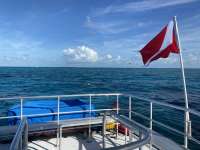 Great day of scuba diving in Key Largo with Rainbow Reef on hole in the wall tropical serenity 2022 07 07 r12835 3