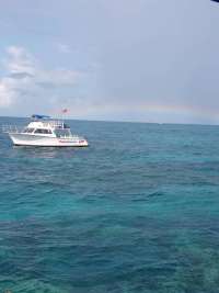Great day of scuba diving in Key Largo with Rainbow Reef on molasses reef tropical adventure 2022 07 08 r12842 1