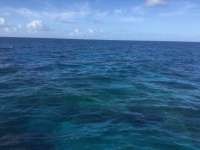 Great day of scuba diving in Key Largo with Rainbow Reef on molasses reef tropical legend 2022 07 07 r12836 1