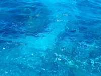 Great day of scuba diving in Key Largo with Rainbow Reef on molasses reef tropical legend 2022 07 07 r12838 1