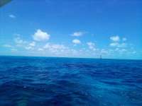 Great day of scuba diving in Key Largo with Rainbow Reef on molasses reef tropical legend 2022 07 07 r12838 2