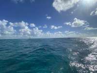 Great day of scuba diving in Key Largo with Rainbow Reef on molasses reef tropical legend 2022 07 20 r12899 3