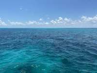 Great day of scuba diving in Key Largo with Rainbow Reef on north dry rocks tropical destiny 2022 07 13 r12869 1