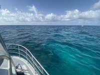 Great day of scuba diving in Key Largo with Rainbow Reef on north star tropical legend 2022 07 19 r12894 2