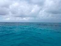 Great day of scuba diving in Key Largo with Rainbow Reef on sand island tropical adventure 2022 07 16 r12875 1