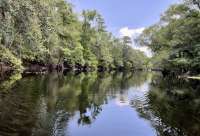 Great day of scuba diving in Key Largo with Rainbow Reef on spiegel grove tropical destiny 2022 07 01 r12800 3
