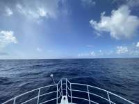 Great day of scuba diving in Key Largo with Rainbow Reef on spiegel grove tropical destiny 2022 07 06 r12831 1