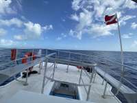 Great day of scuba diving in Key Largo with Rainbow Reef on spiegel grove tropical destiny 2022 07 06 r12831 2