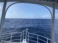 Great day of scuba diving in Key Largo with Rainbow Reef on spiegel grove tropical destiny 2022 07 06 r12831 3