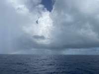 Great day of scuba diving in Key Largo with Rainbow Reef on spiegel grove tropical destiny 2022 07 08 r12841 1