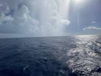 Great day of scuba diving in Key Largo with Rainbow Reef on spiegel grove tropical destiny 2022 07 08 r12841 2