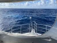 Great day of scuba diving in Key Largo with Rainbow Reef on spiegel grove tropical legend 2022 07 02 r12804 1