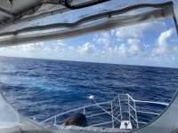 Great day of scuba diving in Key Largo with Rainbow Reef on spiegel grove tropical legend 2022 07 02 r12804 2