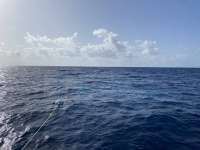 Great day of scuba diving in Key Largo with Rainbow Reef on spiegel grove tropical odyssey 2022 07 19 r12893 1