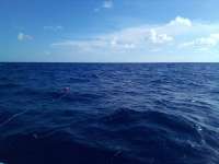 Great day of scuba diving in Key Largo with Rainbow Reef on spiegel grove tropical odyssey 2022 07 21 r12902 1
