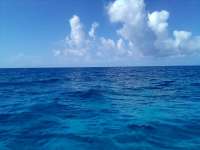 Great day of scuba diving in Key Largo with Rainbow Reef on uscgc bibb tropical odyssey 2022 07 06 r12833 1