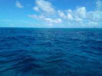Great day of scuba diving in Key Largo with Rainbow Reef on uscgc duane tropical destiny 2022 07 10 r12856 1