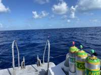 Great day of scuba diving in Key Largo with Rainbow Reef on uscgc duane tropical destiny 2022 07 24 r12922 1