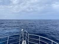 Great day of scuba diving in Key Largo with Rainbow Reef on uscgc duane tropical odyssey 2022 07 16 r12877 1
