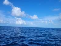Great day of scuba diving in Key Largo with Rainbow Reef on uscgc duane tropical odyssey 2022 07 22 r12908 1