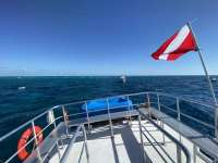 Great day of scuba diving in Key Largo with Rainbow Reef on winch hole tropical serenity 2022 07 09 r12848 1