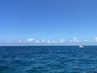 Great day of scuba diving in Key Largo with Rainbow Reef on winch hole tropical serenity 2022 07 09 r12848 2