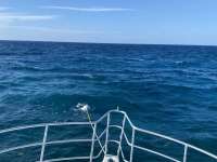 Great day of scuba diving in Key Largo with Rainbow Reef on winch hole tropical serenity 2022 07 09 r12848 3