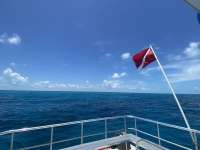 Great day of scuba diving in Key Largo with Rainbow Reef on woodys tropical destiny 2022 07 21 r12906 1
