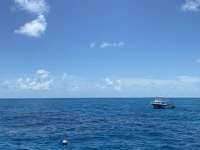 Great day of scuba diving in Key Largo with Rainbow Reef on woodys tropical destiny 2022 07 21 r12906 2