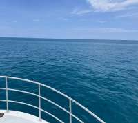 Great day of scuba diving in Key Largo with Rainbow Reef on benwood wreck tropical destiny 2022 06 27 r12781 1