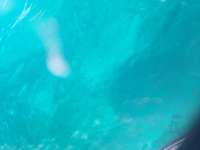 Great day of scuba diving in Key Largo with Rainbow Reef on benwood wreck tropical explorer 2022 06 20 r12716 1