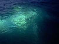 Great day of scuba diving in Key Largo with Rainbow Reef on benwood wreck tropical serenity 2022 06 11 r12658 1