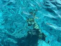 Great day of scuba diving in Key Largo with Rainbow Reef on christ statue tropical adventure 2022 06 11 r12652 1